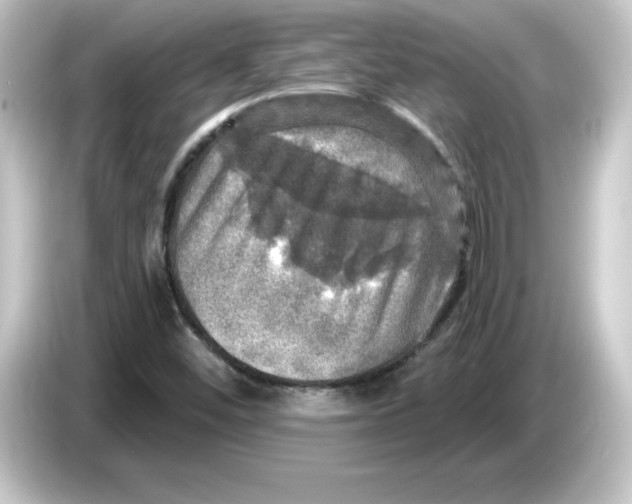 X0000084561452200703161656