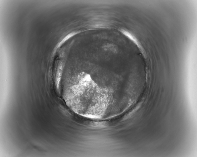 X0000084561453200703161656