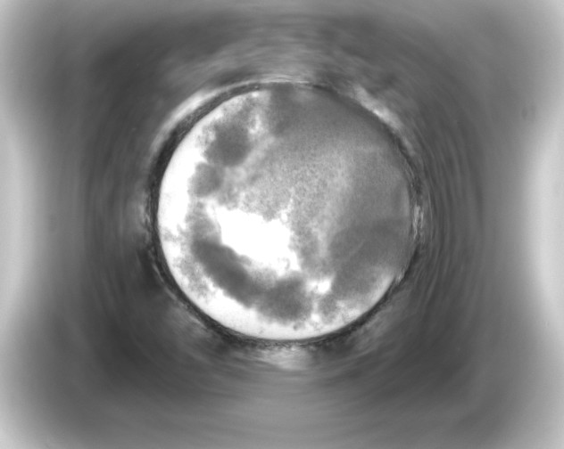 X0000084561454200703161656