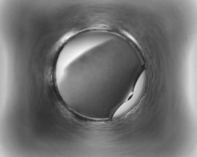 X0000084561455200703161656