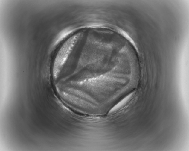 X0000084561456200703161656