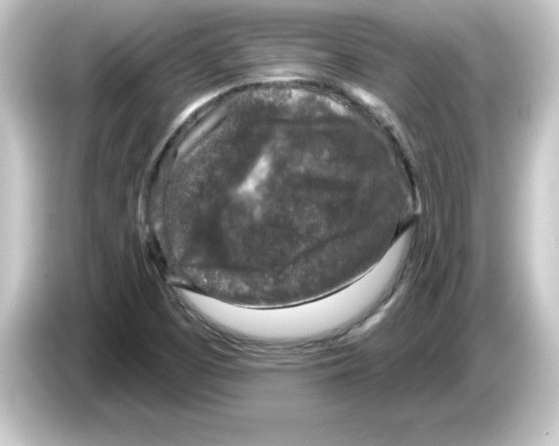 X0000084561457200703161656