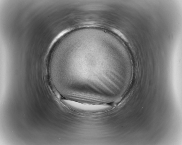 X0000084561458200703161656