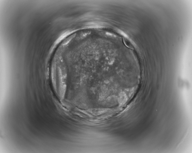 X0000084561459200703161656