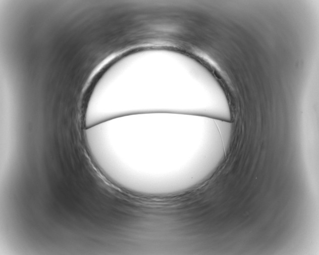 X0000084561460200703161656