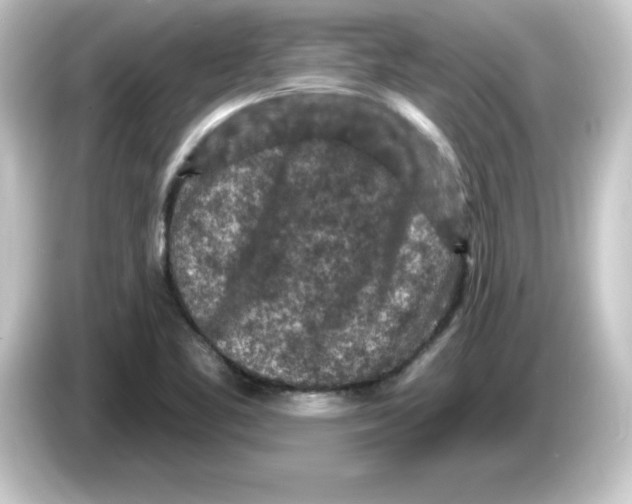 X0000084561461200703161656