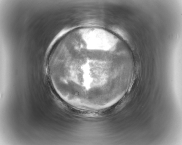 X0000084561462200703161655