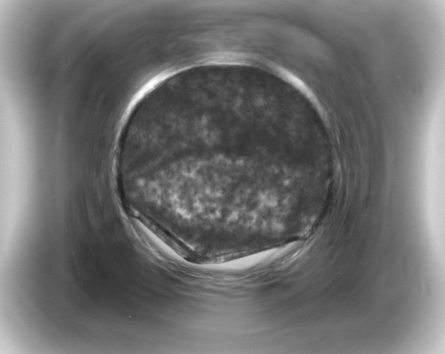 X0000084561463200703161655