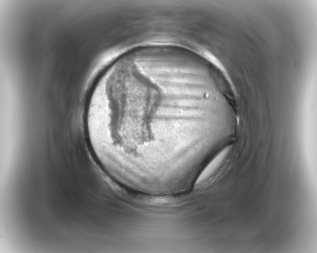 X0000084561464200703161655