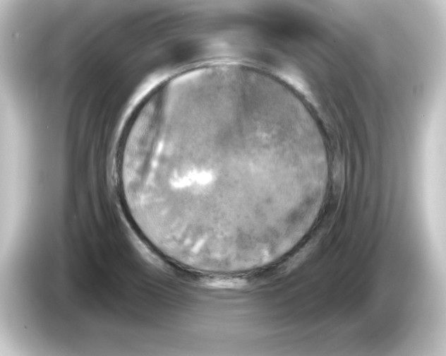 X0000084561466200703161655