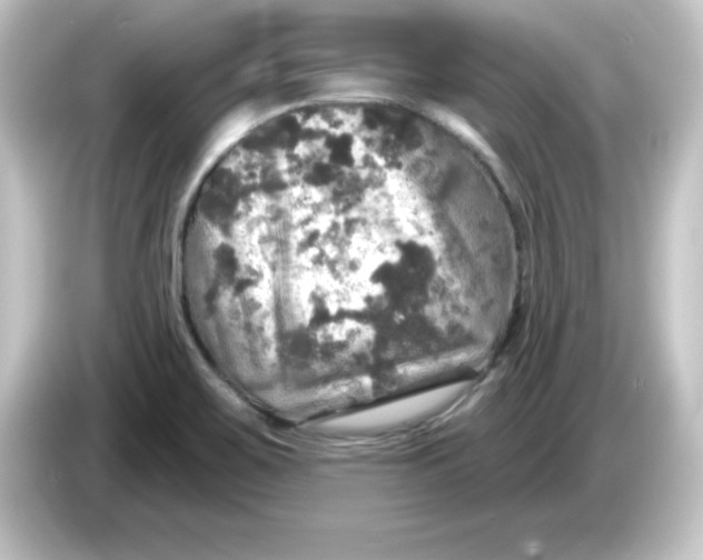 X0000084561467200703161655