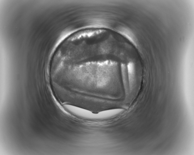 X0000084561468200703161655