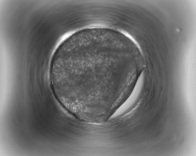 X0000084561469200703161655