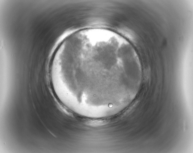 X0000084561470200703161655