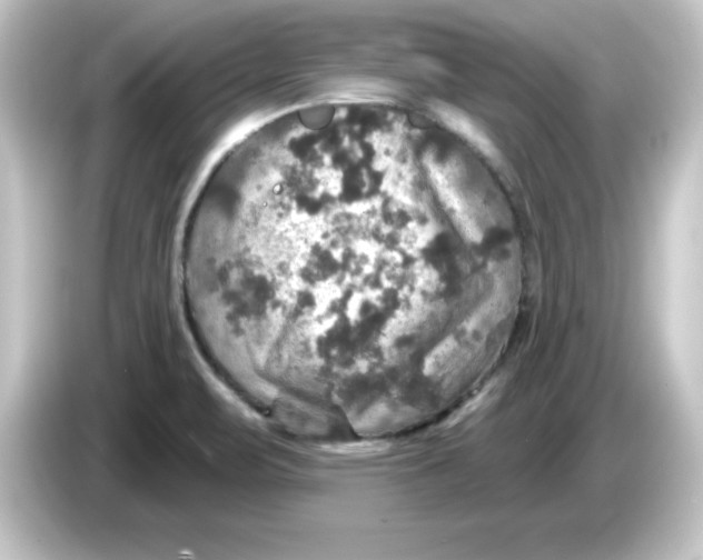 X0000084561471200703161655