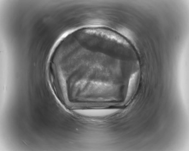 X0000084561472200703161655