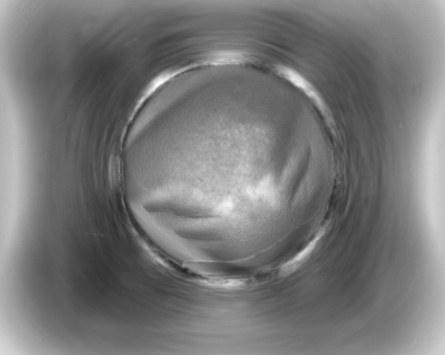 X0000084561473200703161655