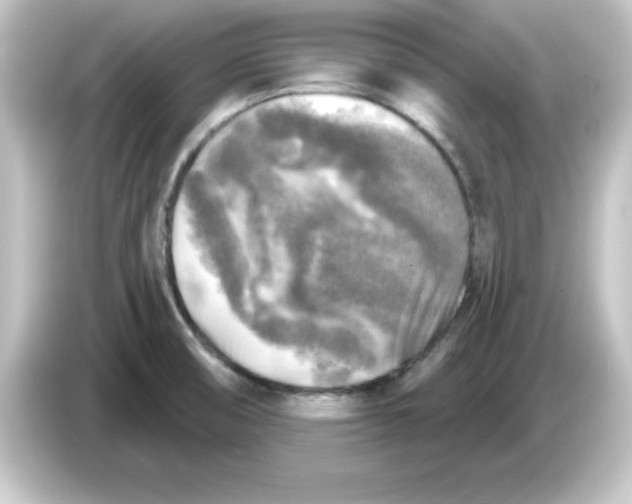 X0000084561474200703161655