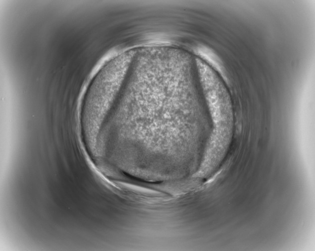 X0000084561475200703161655