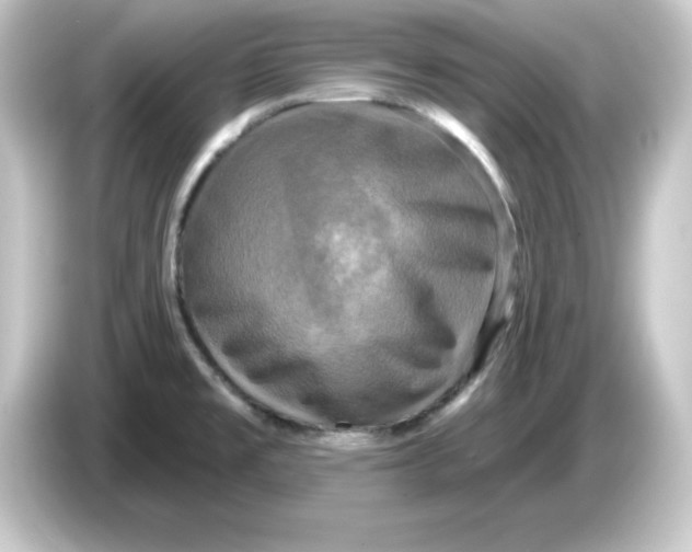 X0000084561477200703161655