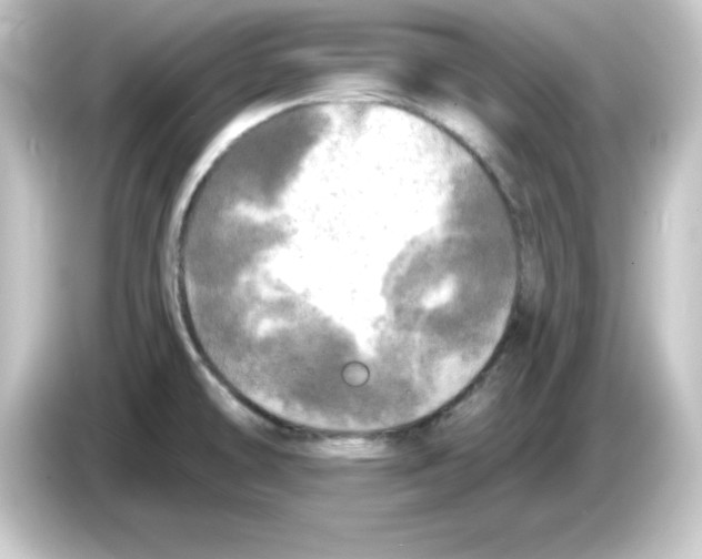 X0000084561478200703161655