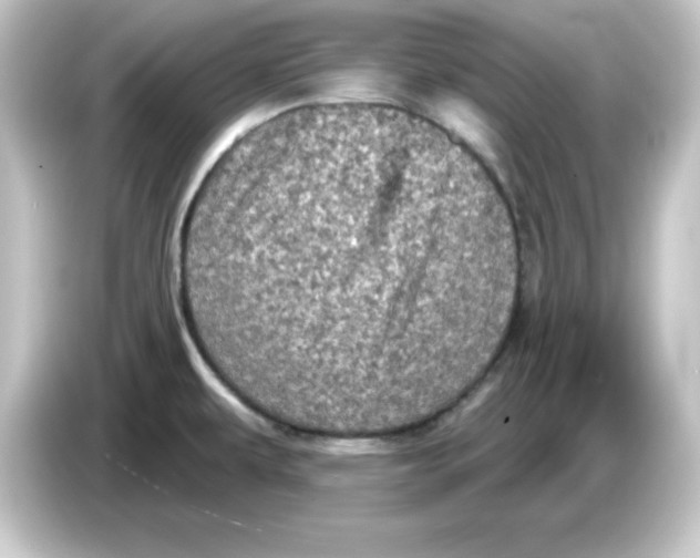 X0000084561479200703161655