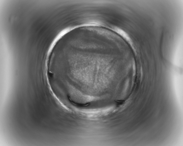 X0000084561480200703161655