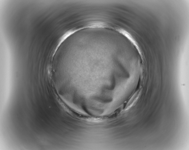 X0000084561481200703161655