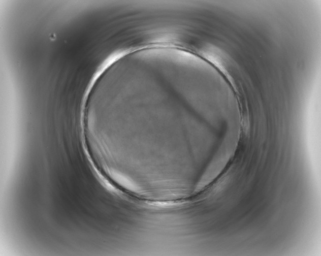 X0000084561482200703161655