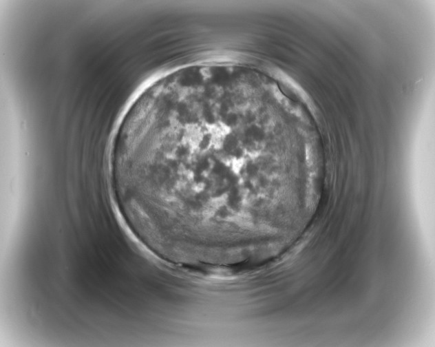 X0000084561483200703161655