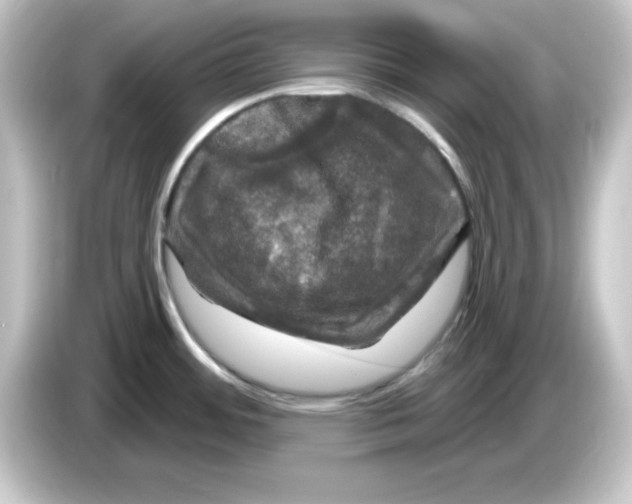 X0000084561484200703161655