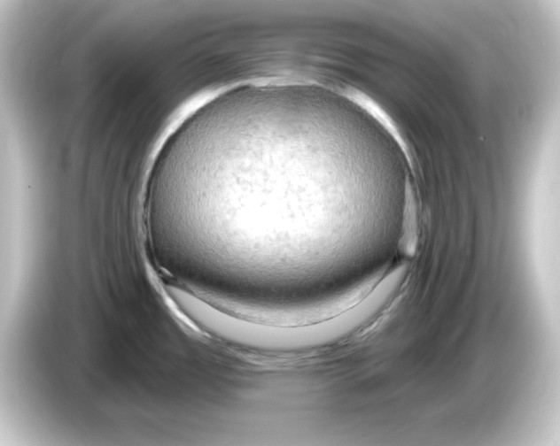 X0000084561485200703161655