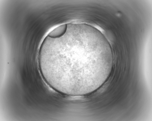 X0000084561486200703161655