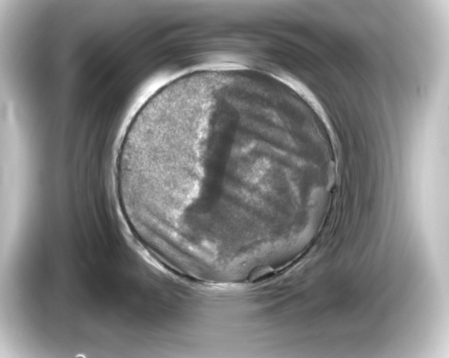 X0000084561488200703161655