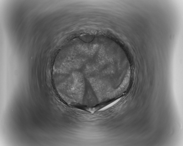 X0000084561489200703161655