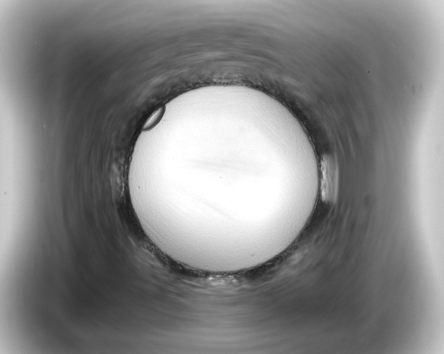 X0000084561491200703161655