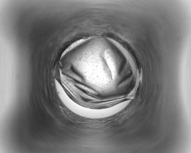 X0000084561492200703161655