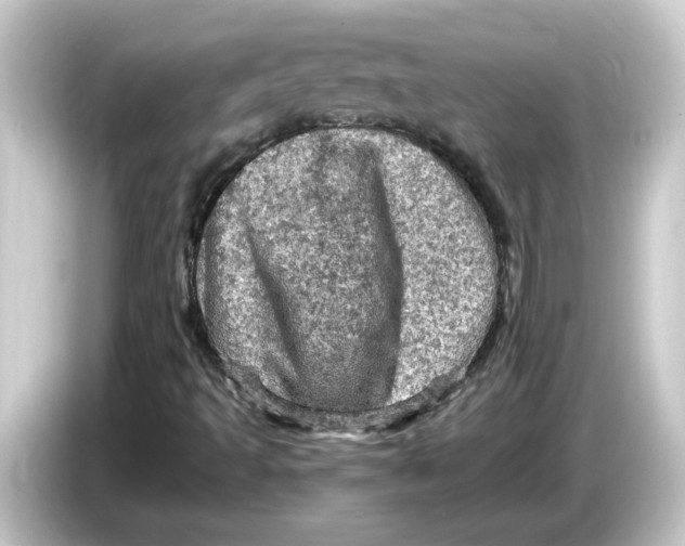 X0000084561493200703161655