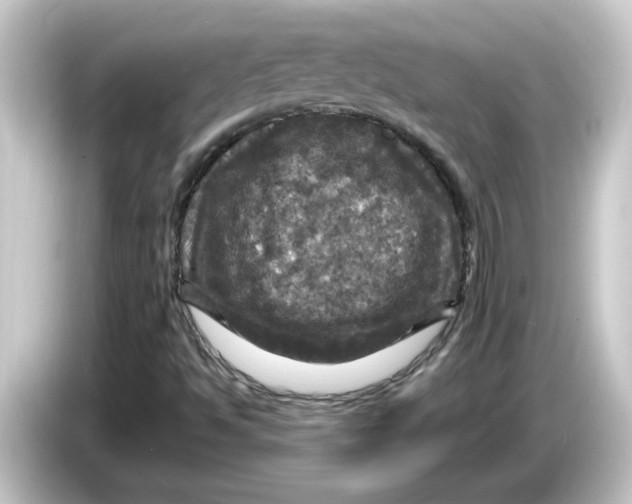 X0000084561494200703161655