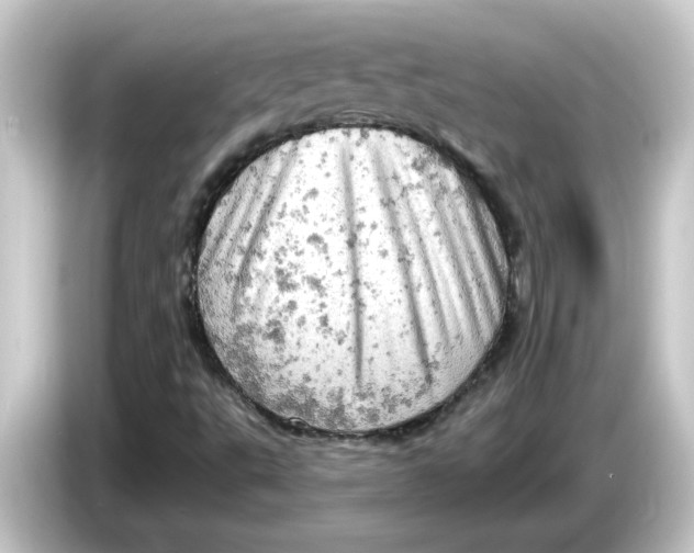 X0000084561495200703161655