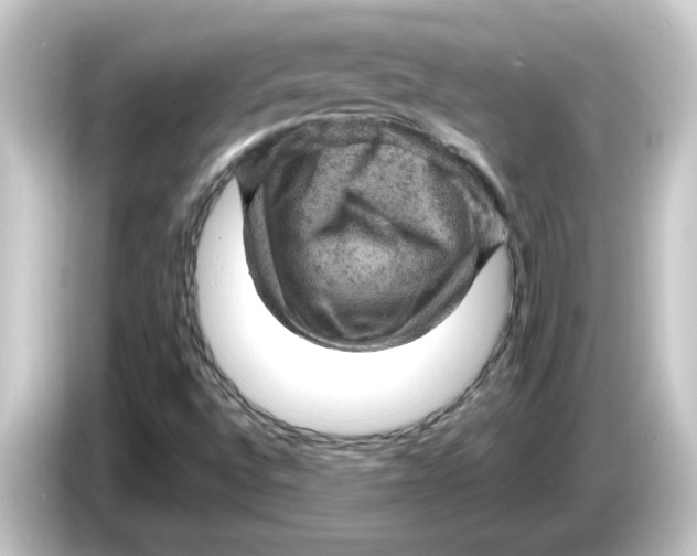 X0000084561496200703161655