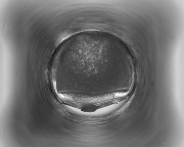 X0000084561497200703161655