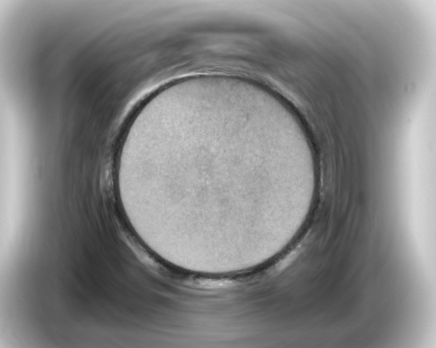 X0000084561498200703161655