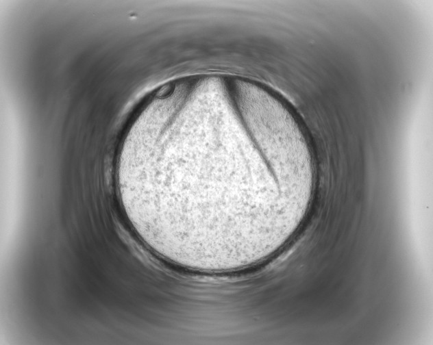 X0000084561499200703161655