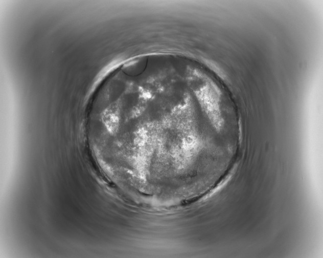 X0000084561501200703161655