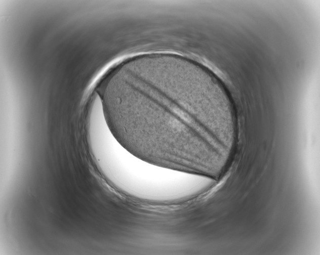 X0000084561502200703161655