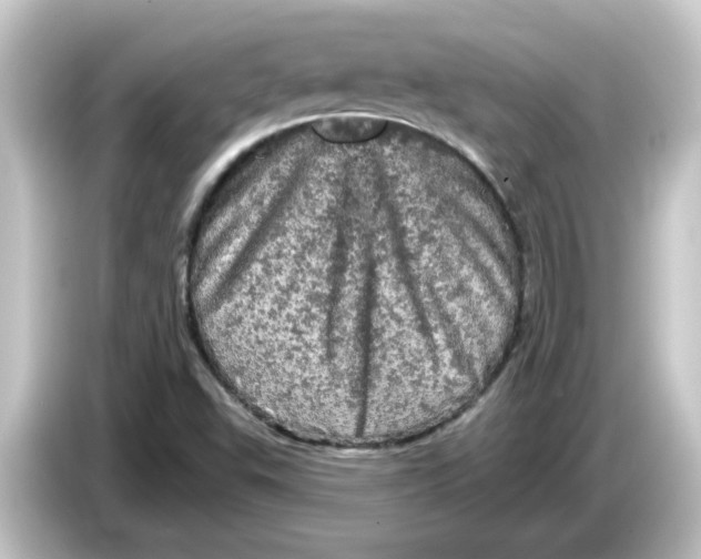 X0000084561503200703161655