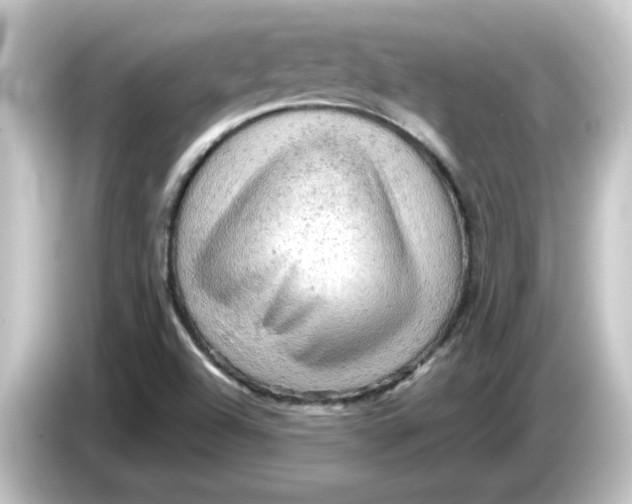 X0000084561504200703161655