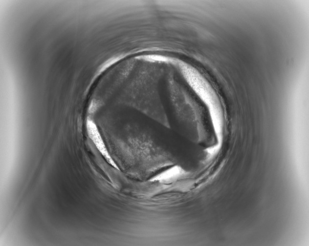 X0000084561505200703161655