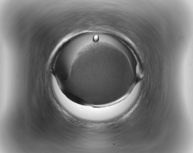 X0000084561506200703161655